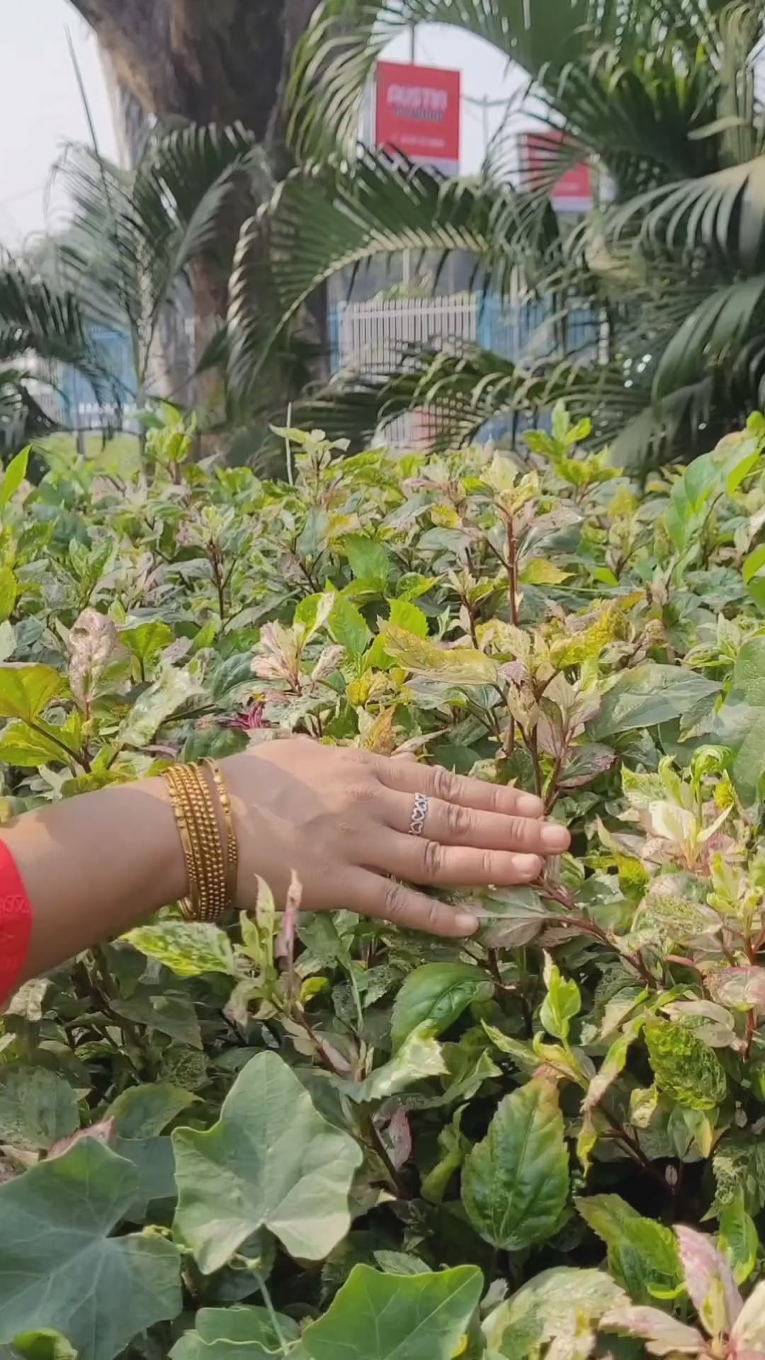 Niki Mehra's Schiffli Chikan Embroidered Rayon Anarkali Set with Sequin Embellishments & Handwork Dupatta"